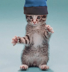 chat